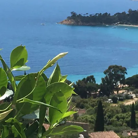 Villa Vue Panoramique Sur Le Cap Negre *